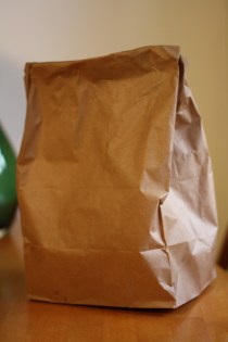 The bag